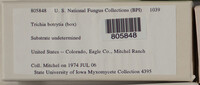 Image Associated With the Occurence